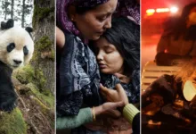 2026 world press photo featured