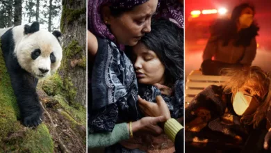 2026 world press photo featured