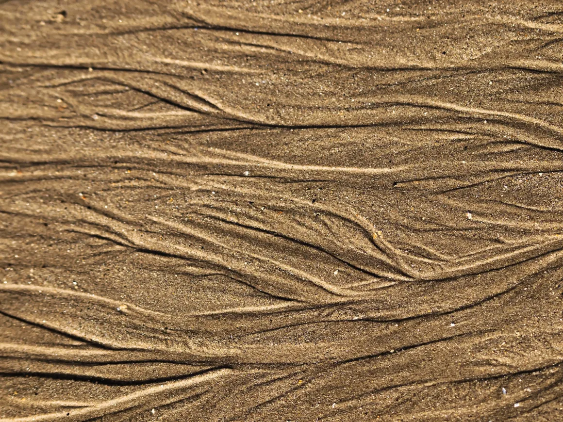 Fotoğrafçılar İçin Tasarım Neden Vazgeçilmezdir? 15 Islak kum üzerinde oluşmuş dalgalı, organik desenler; açık ve koyu kahverengi tonlarda soyut bir yüzey.