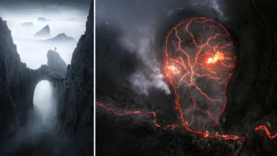 DJI Skypixel winners