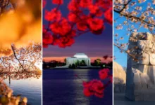 Drew Geraci Spotlight Cover