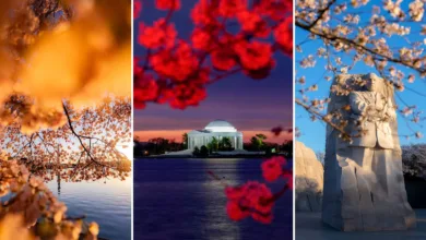 Drew Geraci Spotlight Cover