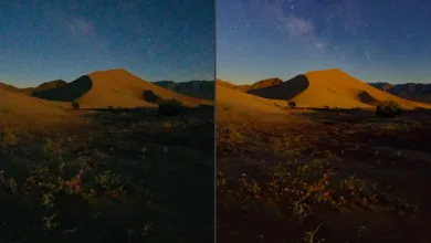 DxO PureRaw 6 İncelemesi: RAW Fotoğraflarda Maksimum Detay ve Minimum Gürültü 1 DxOPureRaw6 inceleme