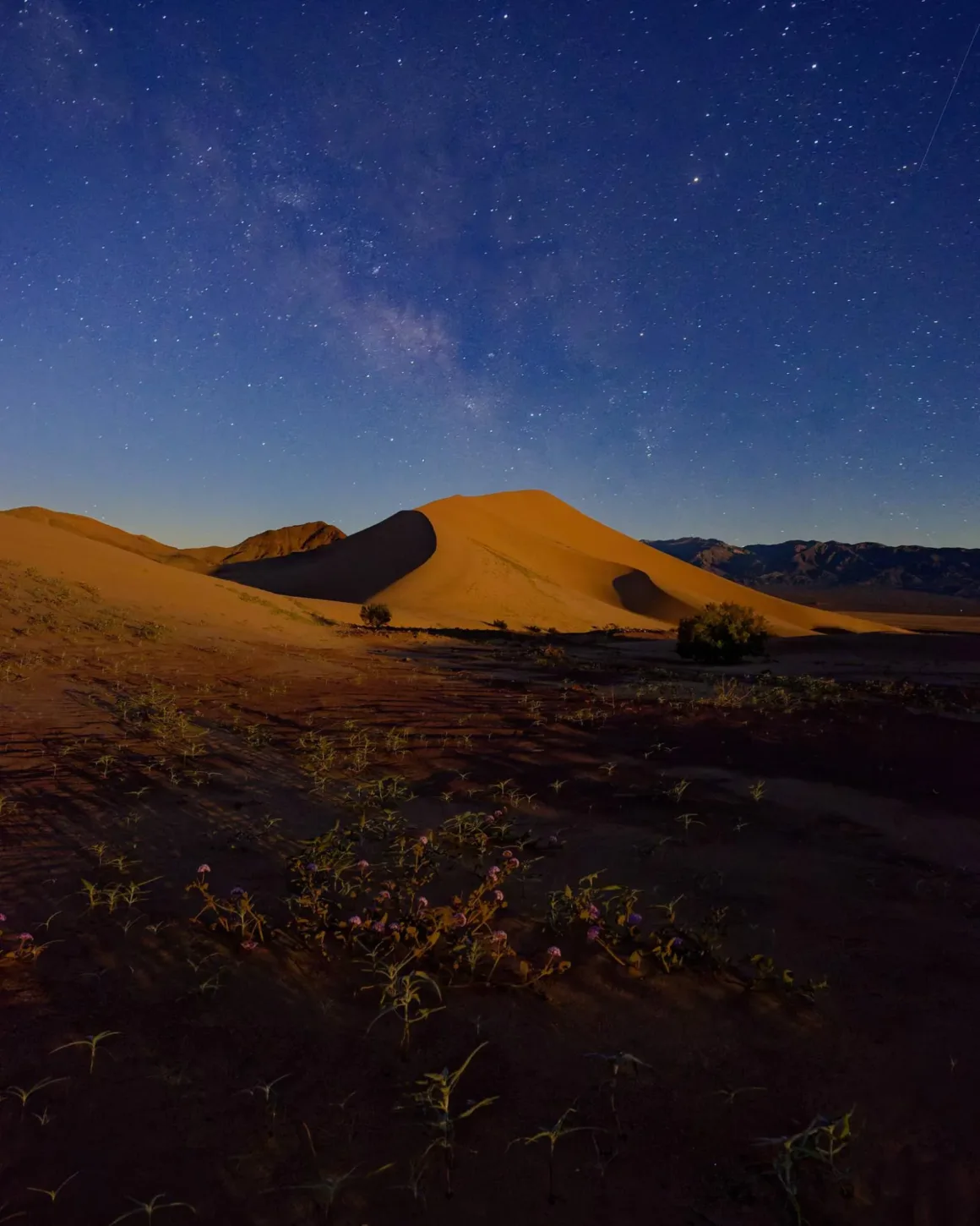 DxO PureRaw 6 İncelemesi: RAW Fotoğraflarda Maksimum Detay ve Minimum Gürültü 10 DxOPureRaw6Review image4