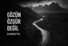 Fotoğrafa Bakmıyorsun, İçine Giriyorsun: Gözünün İzlediği Gizli Yol 10 Gozunun Izledigi Gizli Yol