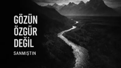 Fotoğrafa Bakmıyorsun, İçine Giriyorsun: Gözünün İzlediği Gizli Yol 9 Gozunun Izledigi Gizli Yol