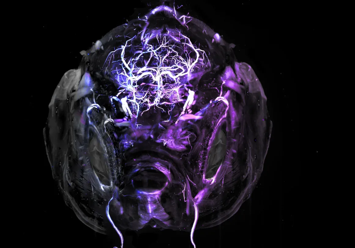 Soyut mor ve beyaz ışık desenleriyle enerji benzeri yapı