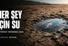 Nikolaos Manginas 4. Uluslararasi Fotograf Yarismasi