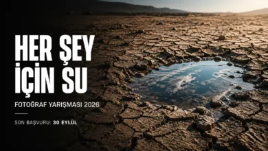 Nikolaos Manginas 4. Uluslararasi Fotograf Yarismasi