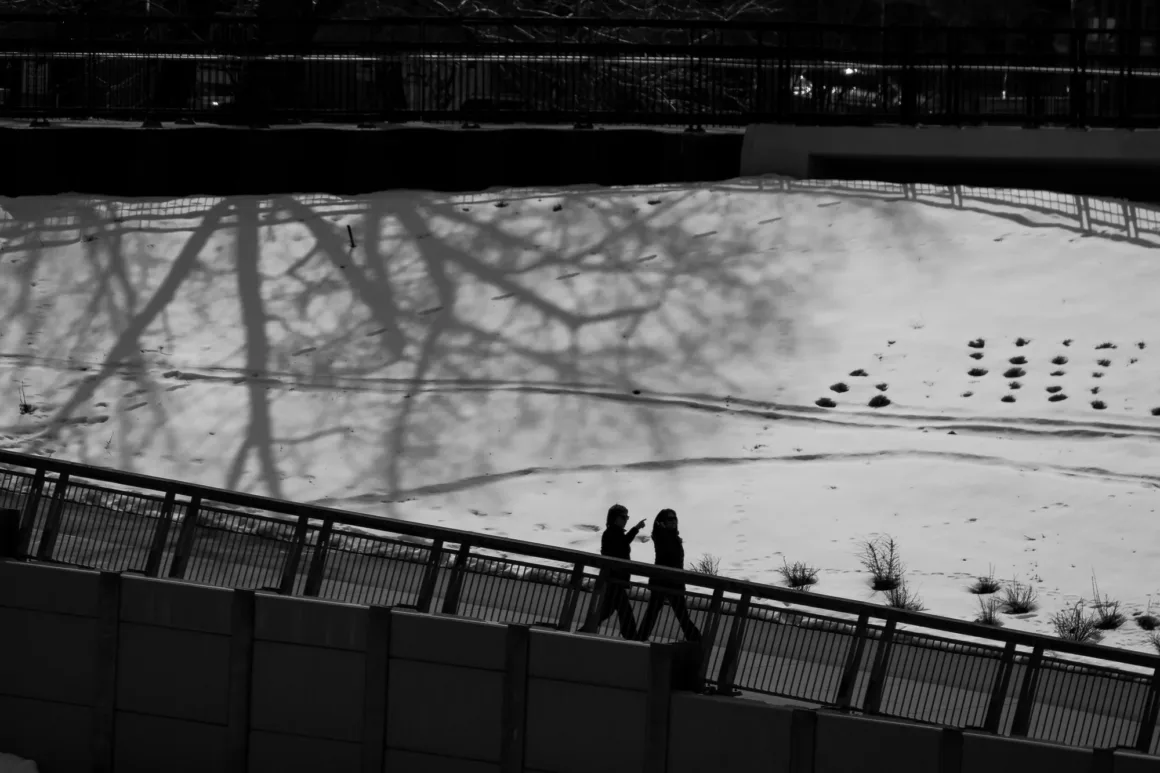 Panasonic Lumix ZS300 İnceleme: Eski Model Daha İyiydi? 31 İki kişi, karla kaplı bir alanın yanındaki çitle çevrili bir yolda yürüyor. Kar üzerinde büyük bir ağacın gölgesi görülüyor. Görüntü siyah beyaz ve ışık-gölge kontrastı oldukça güçlü.