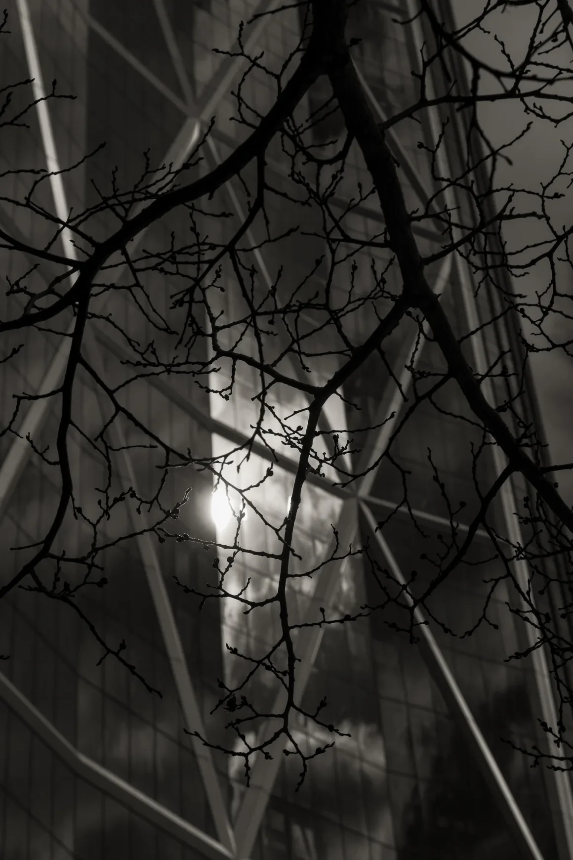 Panasonic Lumix ZS300 İnceleme: Eski Model Daha İyiydi? 34 Ön planda yapraksız ağaç dalları silüet halinde görülüyor; arka planda modern bir binanın yansıtıcı cam yüzeyi bulutları ve güneş ışığını yansıtıyor. Görüntü siyah beyaz.