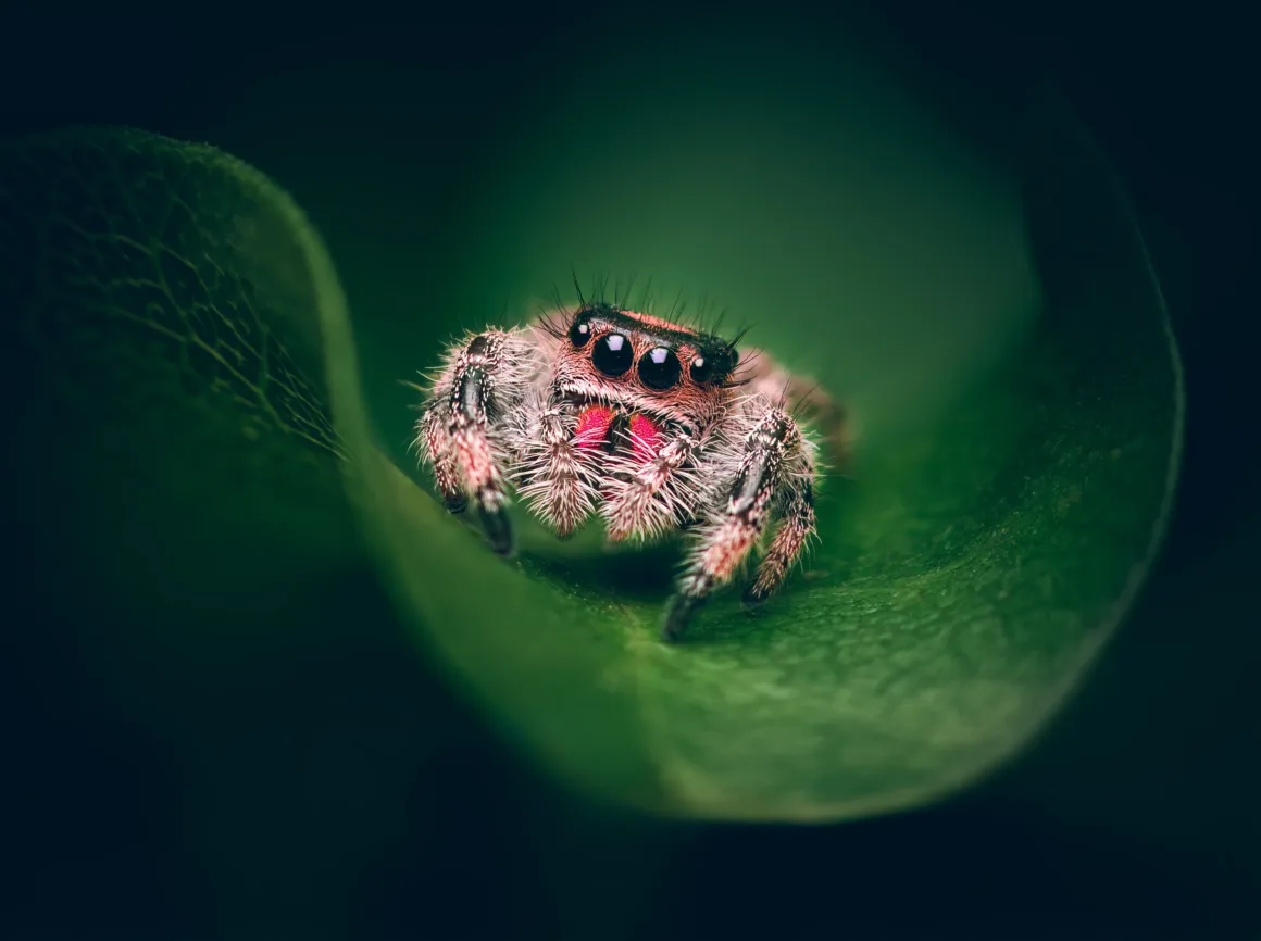 P AO200 0003 2048x1529 1