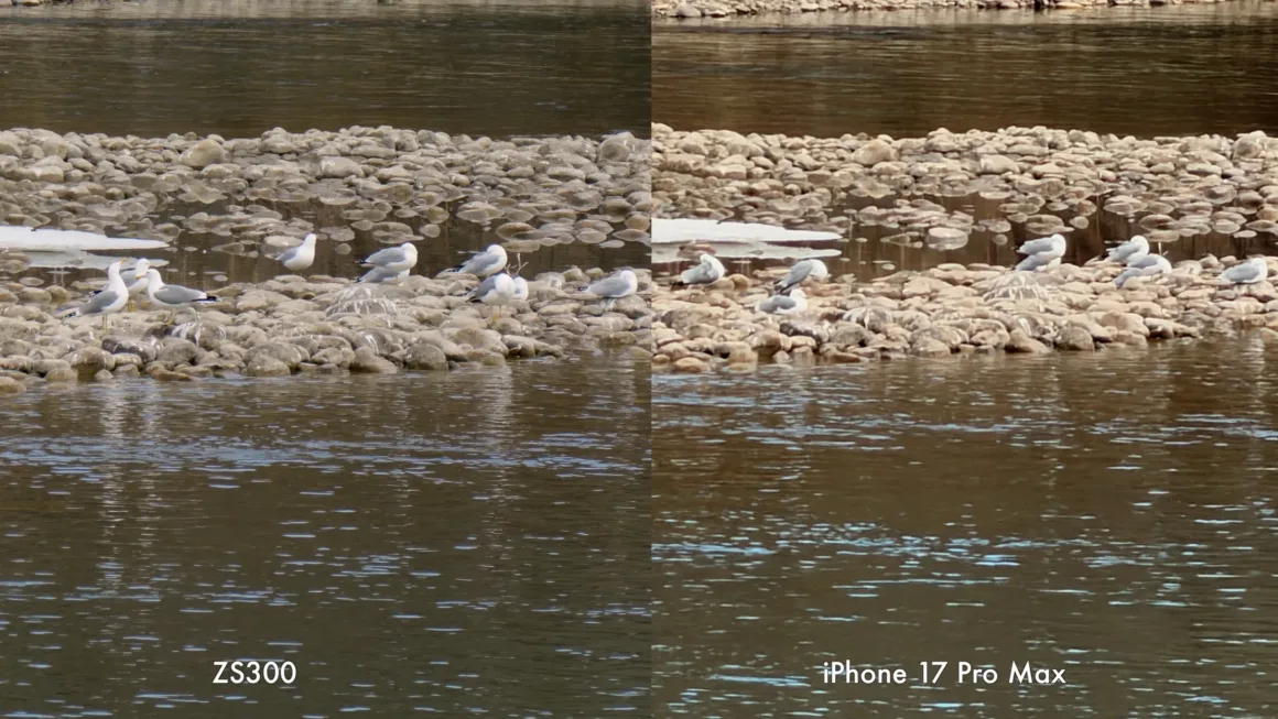 Panasonic Lumix ZS300 İnceleme: Eski Model Daha İyiydi? 12 ZS300 ve iPhone 17 Pro Max’in yan yana karşılaştırması; kayalıkların üzerinde duran martılar, sakin bir nehir ve su üzerindeki yansımalar ile buz parçaları görülüyor.
