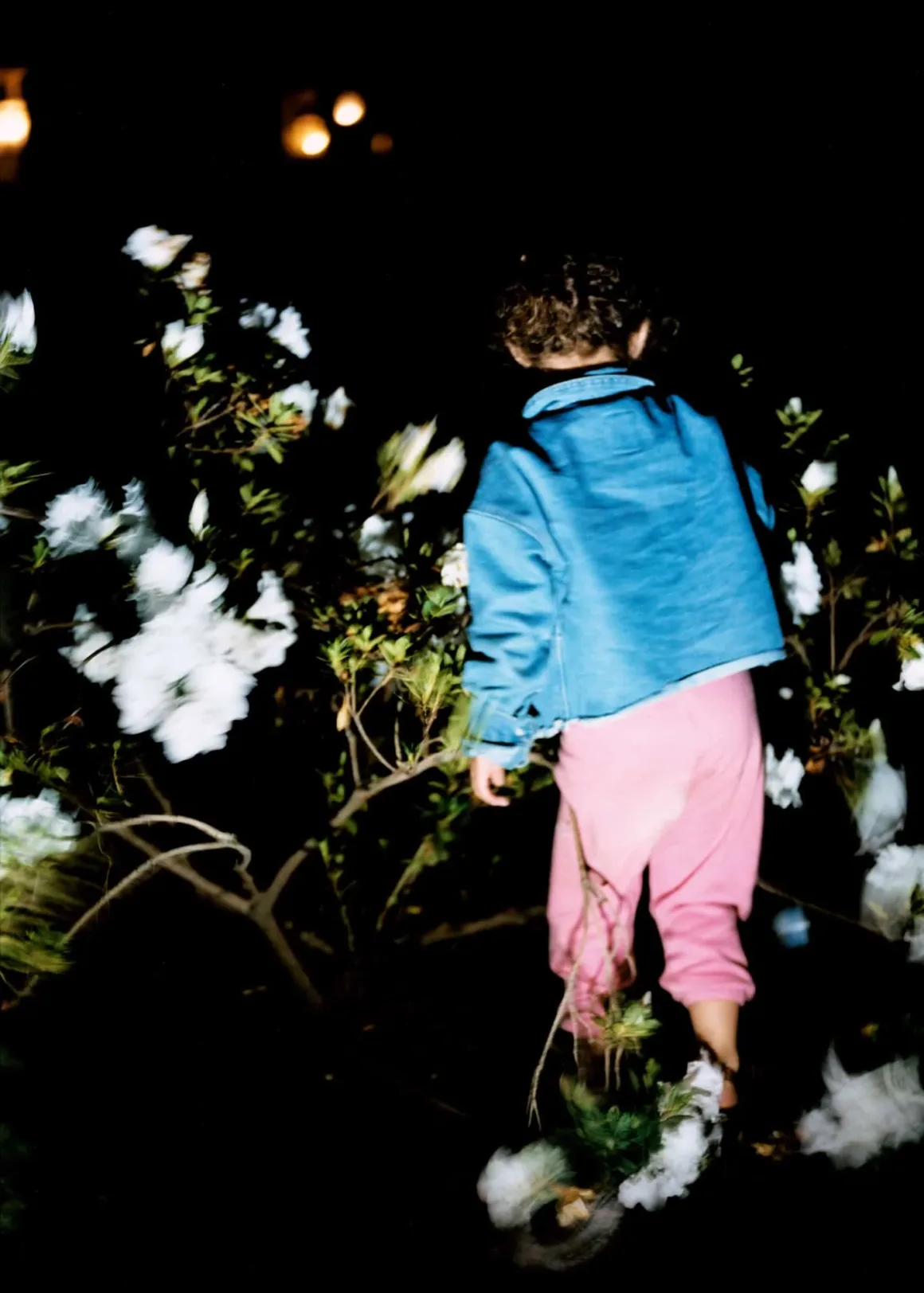 abdulrahmid kircher 8