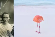 ai photography essay feat