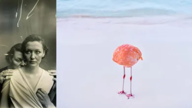 Bu Fotoğraf Gerçek Değil — Ve Sorun Bu Değil 1 ai photography essay feat