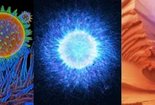 evident scientific 6th image contest featured