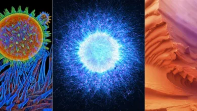 evident scientific 6th image contest featured