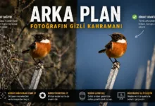 fotografta arka plan