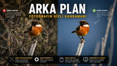 fotografta arka plan