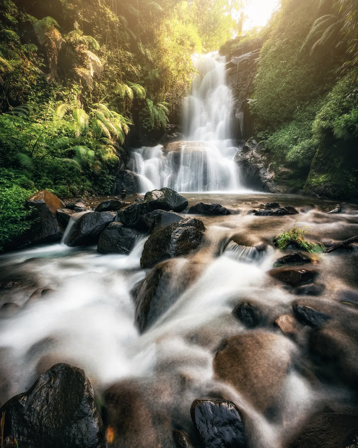 image0 2 1639x2048 1