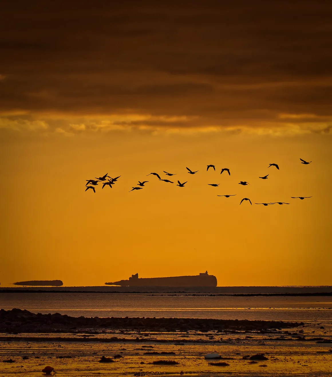 Fotoğrafçılar İçin Tasarım Neden Vazgeçilmezdir? 8 Gün batımında turuncu gökyüzü altında deniz üzerinde uçan kuş sürüsü; ön planda sakin su ve uzakta ada silüetleri.