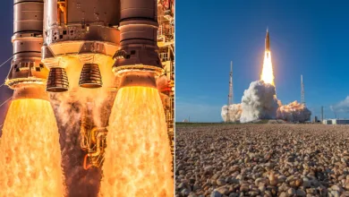 madow artemis ii featured