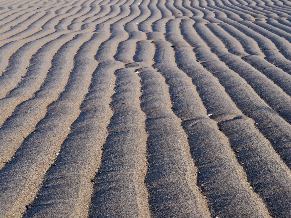 Fotoğrafçılar İçin Tasarım Neden Vazgeçilmezdir? 14 Islak kum üzerinde su veya rüzgarın oluşturduğu paralel dalgalı desenler; ışık kumun dokusunu ve formunu belirginleştiriyor.