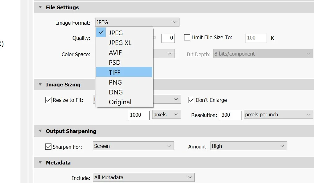 JPEG vs TIFF: Hangisini Ne Zaman Kullanmalısın? 2 what is a tif file