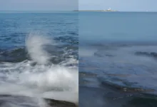 5020431