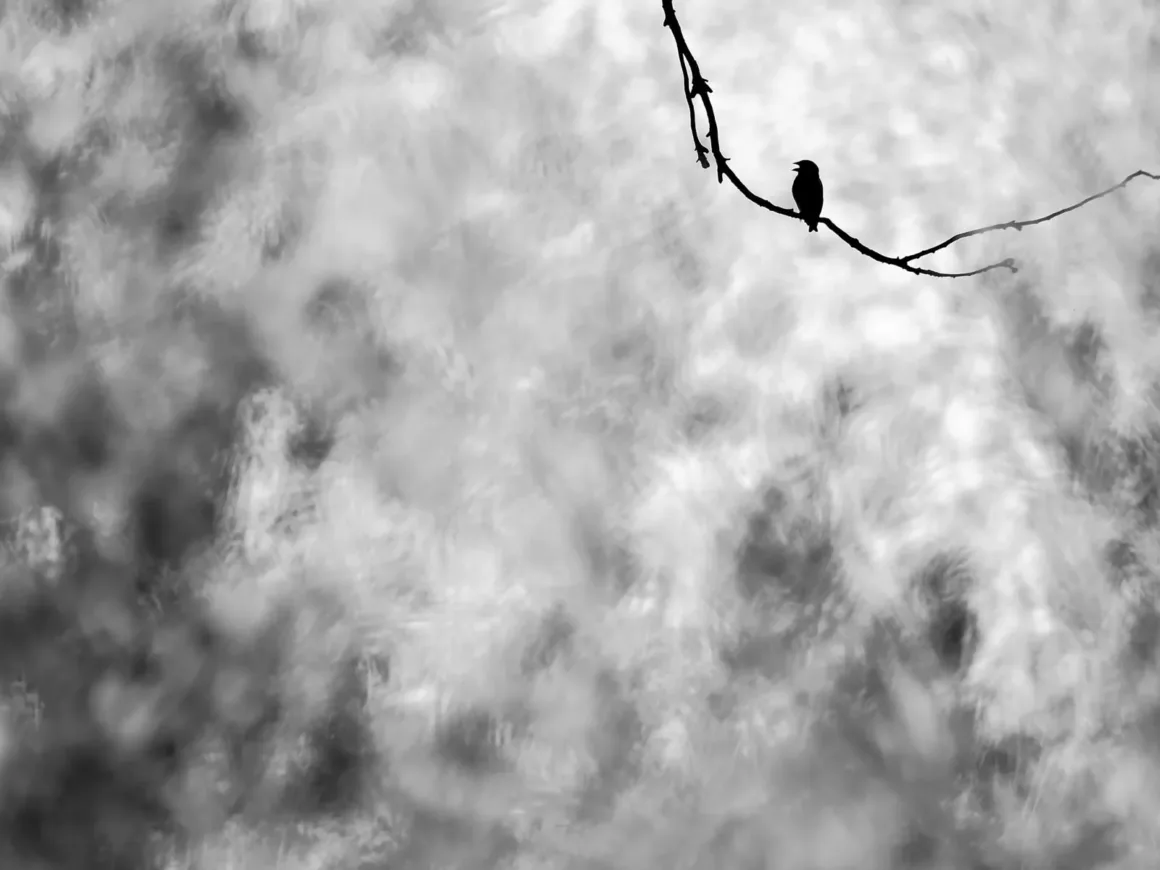Nature and Humans Photography Contest 2026 23 Siyah-beyaz çekilmiş bu fotoğrafta, küçük bir kuş ince ve yapraksız bir dalın üzerinde tek başına duruyor. Arka plandaki bulutlu gökyüzü bulanık bırakılarak, yalnız duran kuşun silueti ve sahnenin sade atmosferi ön plana çıkarılıyor.