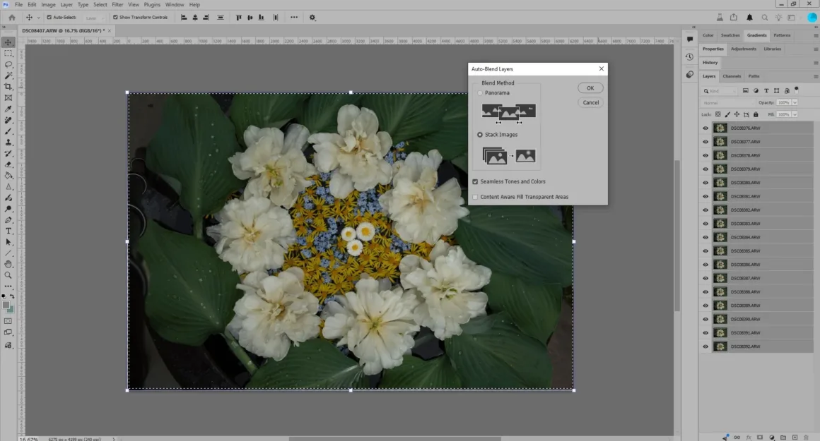 Bir Photoshop çalışma alanında beyaz çiçekler ve yeşil yapraklardan oluşan bir görüntü düzenleniyor. Auto-Blend Layers iletişim penceresi açık durumda ve sağ taraftaki Katmanlar panelinde çok sayıda görüntü katmanı görülüyor.