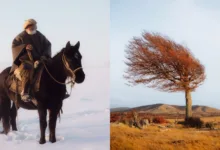 chilean ranchers featured