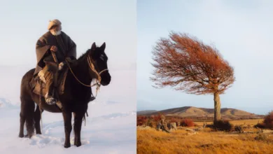 chilean ranchers featured