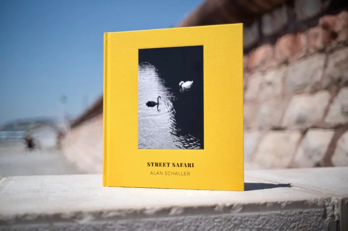 Alan Schaller : Street Safari 6 Taş bir yüzey üzerinde duran sarı kapaklı 'Street Safari' kitabı. Kapakta su üzerindeki iki kuğunun siyah beyaz fotoğrafı yer alıyor.