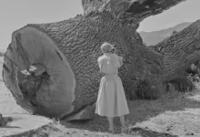Dorothea Lange'ın Sular Altında Kalan Kasabayı Belgeleyen Fotoğrafları Gün Yüzüne Çıktı 10 Dorothea Lange Pirkle Jones Monticello