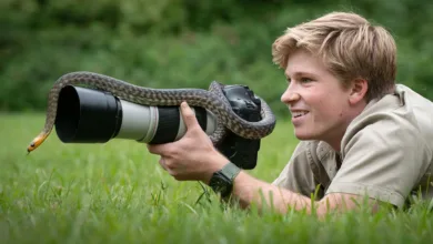 Robert Irwin: Yapay Zekâ Fotoğrafçılığın Sanatsal Ruhunu Zedeliyor 18 HeaderRobert