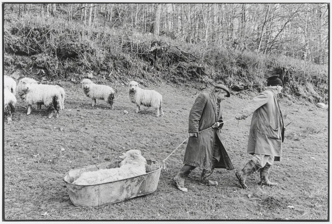 Belgesel Fotoğrafın Gücü: James Ravilious ve Chris Chapman'ın Güven Üzerine Kurulu Mirası