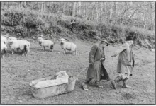 James Ravilious and Chris Chapman