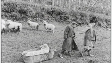 James Ravilious and Chris Chapman