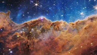 jwst special feature header 2026