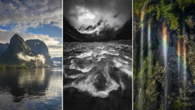 Michael Shainblum, Yeni Zelanda'nın Olağanüstü Güzelliğini Yeniden Yorumluyor 1 shainblum new zealand featured