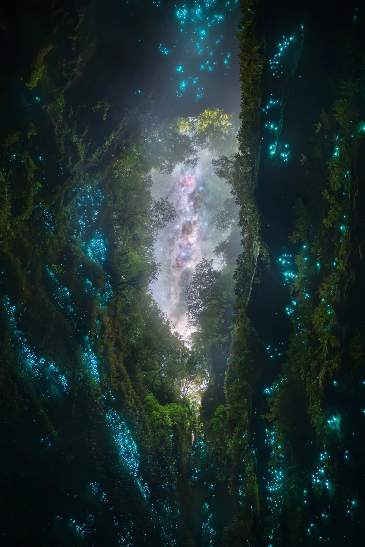 Dünyanın En Karanlık Gökyüzlerinin Güzelliğini Yansıtan 31 Ödüllü Fotoğraf 16 A narrow, mossy canyon wall covered in glowing blue bioluminescent organisms opens up to a view of a starry night sky.