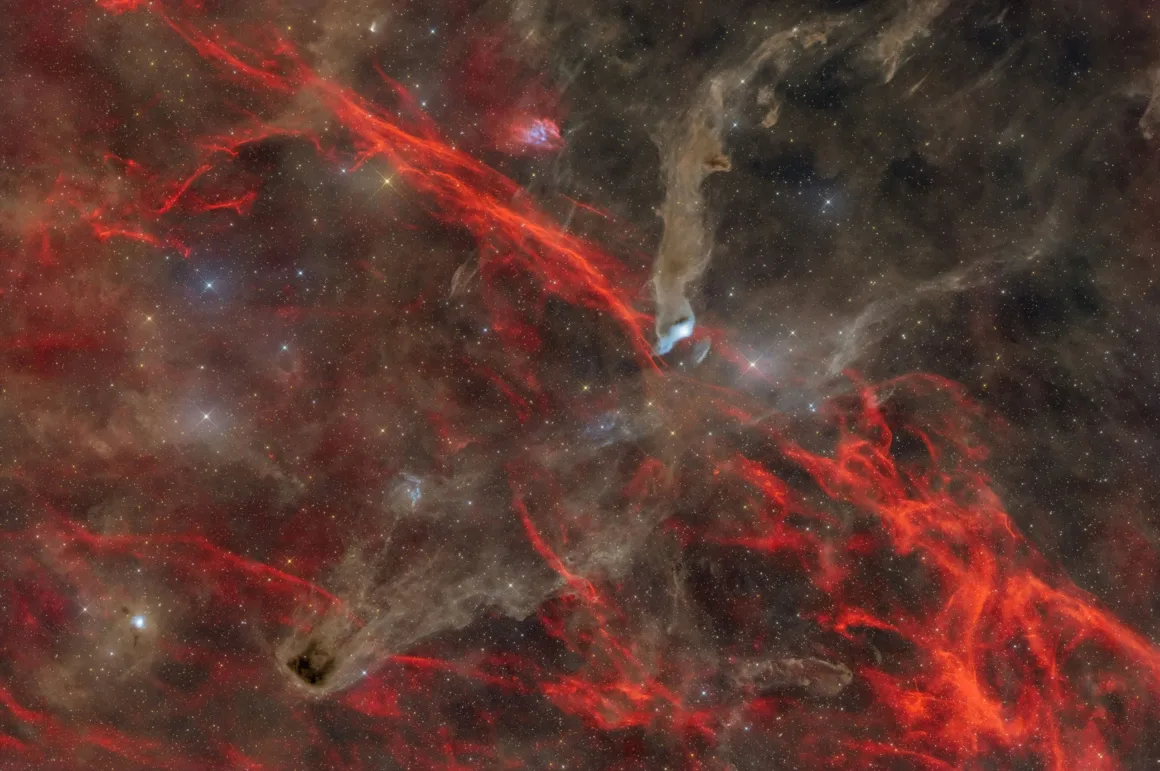 Dünyanın En Karanlık Gökyüzlerinin Güzelliğini Yansıtan 31 Ödüllü Fotoğraf 19 A vast nebula featuring intricate, glowing red filaments of ionized gas set against dark, swirling clouds of cosmic dust.