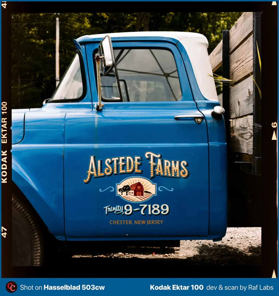 Beyaz tavanlı, mavi renkli eski bir pickup kamyonetin kapısında "Alstede Farms" ve "Trinity 9-7189" yazıları yer alıyor.