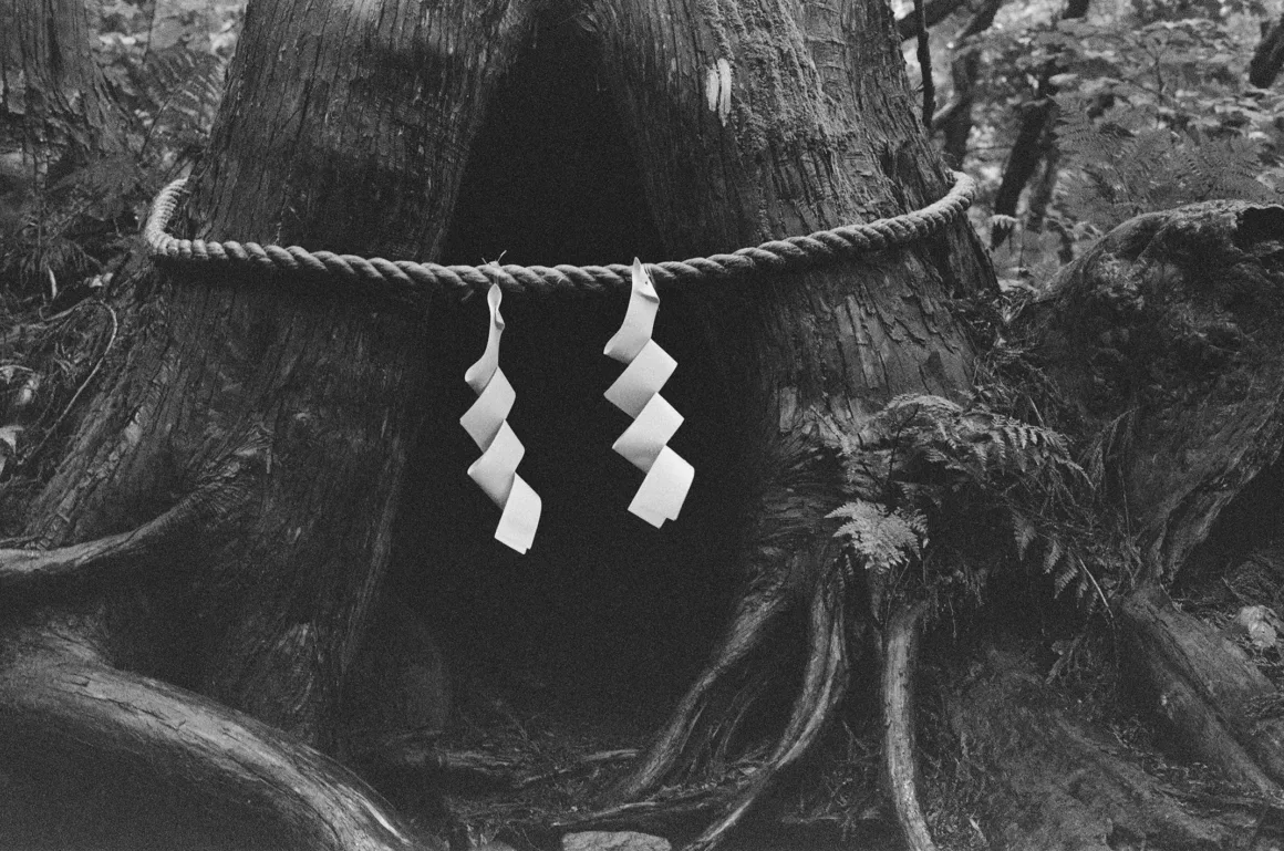 Contax G2 Efsanesi Boşuna Değil: Bu Kamera Harika 29 A thick rope with two white paper shide streamers hangs around a large, hollowed-out tree trunk in a forest.