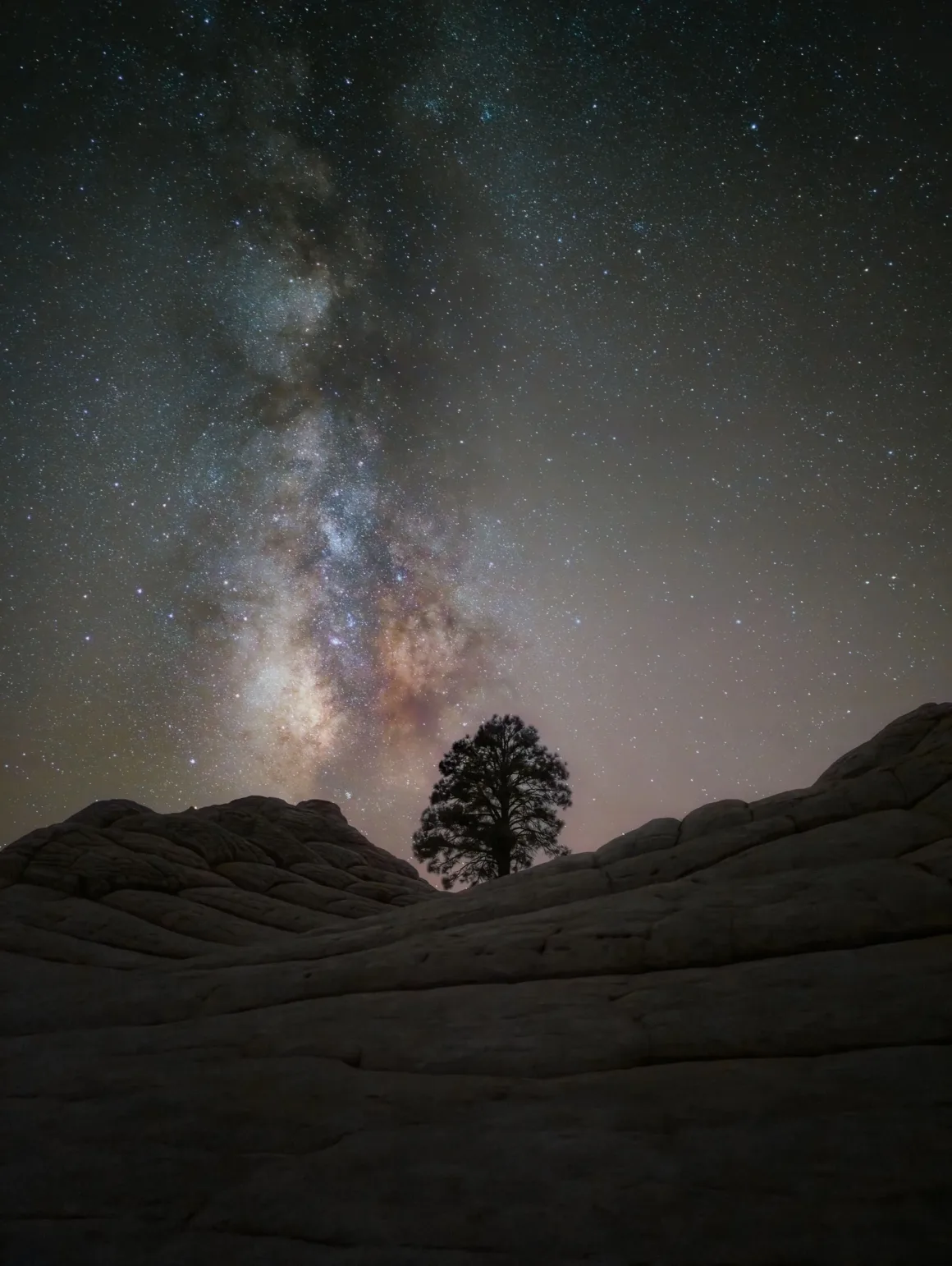 Dünyanın En Karanlık Gökyüzlerinin Güzelliğini Yansıtan 31 Ödüllü Fotoğraf 23 A lone pine tree stands silhouetted against a starry night sky featuring the bright, colorful band of the Milky Way.