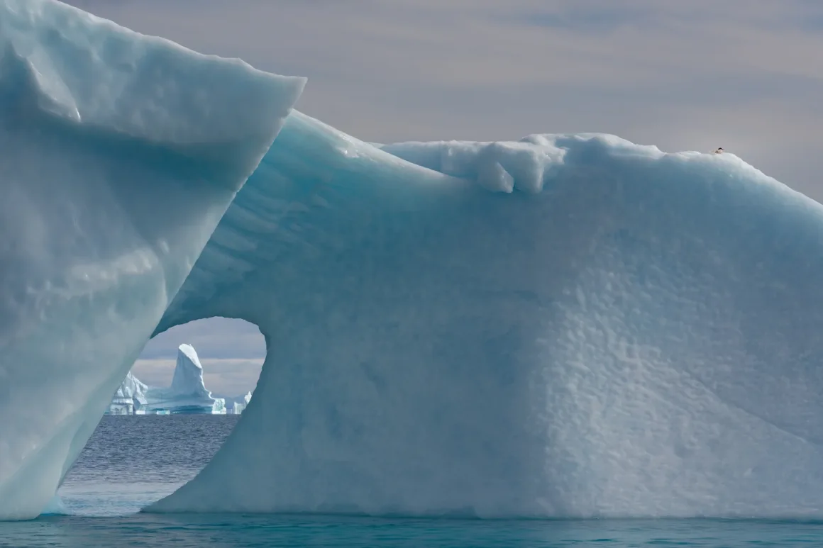 Scoresby Sund’da Işıklar Söndüğünde: Arktik’te Tam Güneş Tutulması 21 A large, blue iceberg with a natural archway frames a distant, pointed iceberg in the water, with a small bird perched on top.