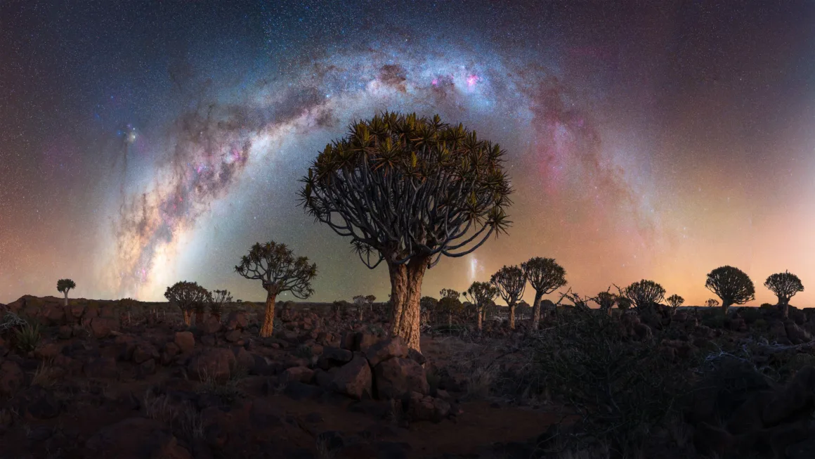 Dünyanın En Karanlık Gökyüzlerinin Güzelliğini Yansıtan 31 Ödüllü Fotoğraf 6 A panoramic view of a rocky desert landscape featuring several quiver trees silhouetted against a vibrant, arched Milky Way.