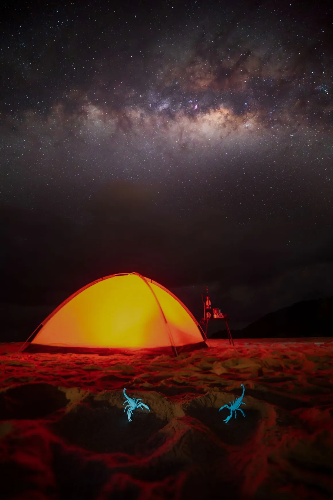 Dünyanın En Karanlık Gökyüzlerinin Güzelliğini Yansıtan 31 Ödüllü Fotoğraf 18 A glowing orange tent sits on a sandy beach at night under a starry sky with the Milky Way, while two small, bioluminescent blue scorpions are in the foreground.